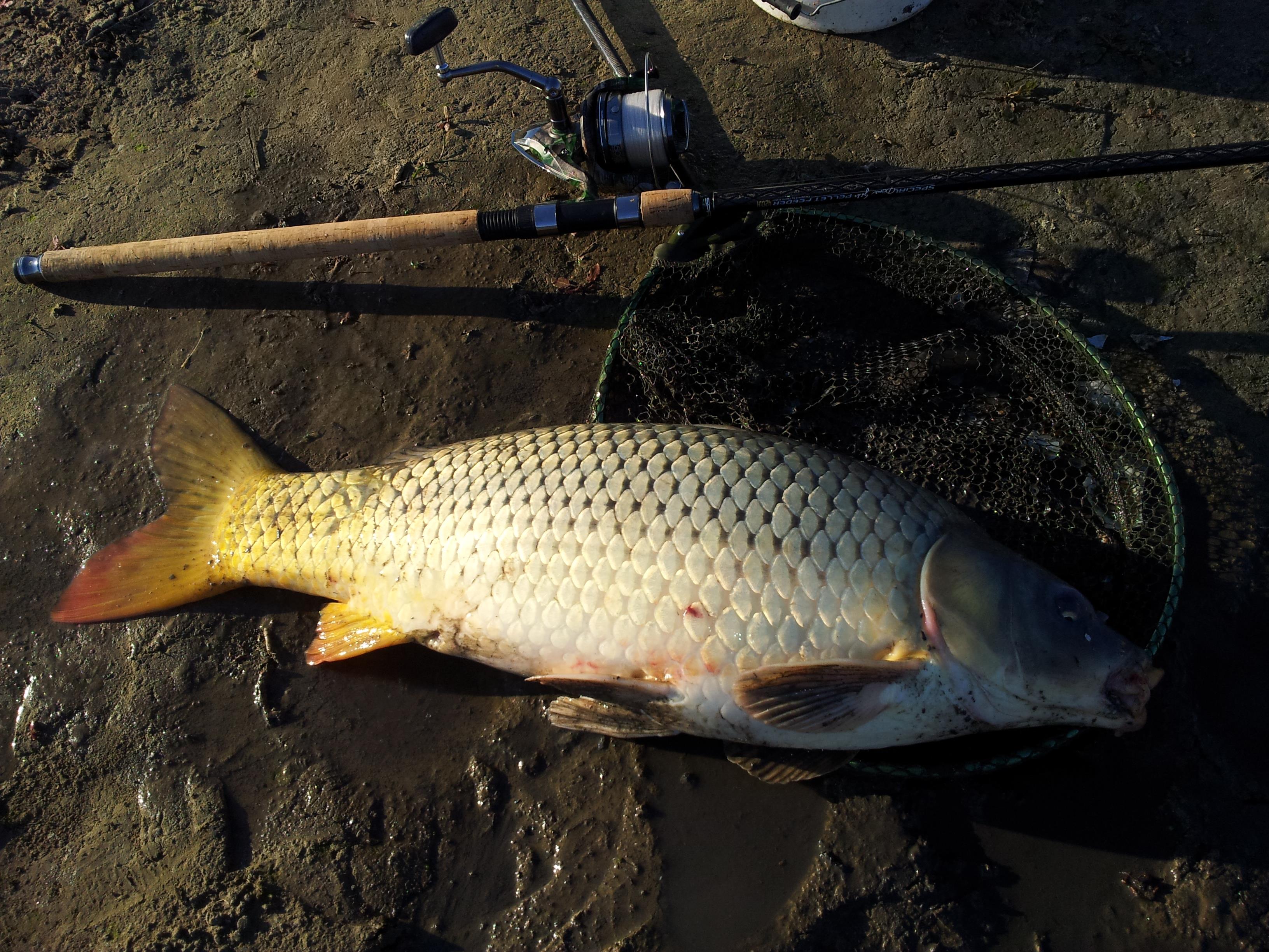 Cetariu 22 - 22 oct. - 20121022_164129.jpg